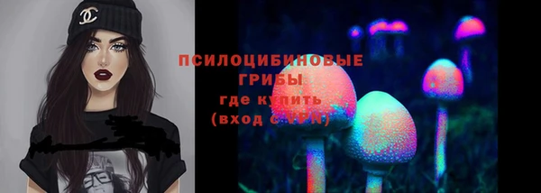 стафф Балахна