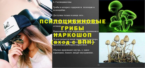 стаф Баксан
