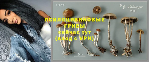 стафф Балахна