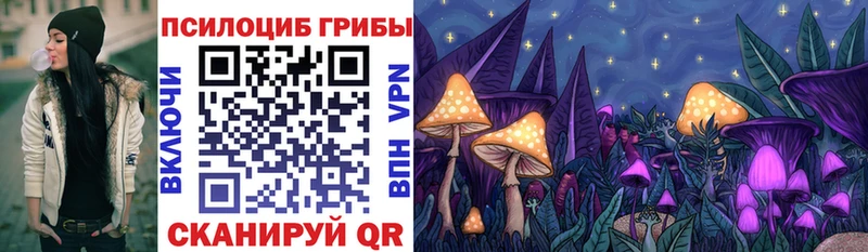 купить закладку  Бор  Псилоцибиновые грибы Psilocybe 