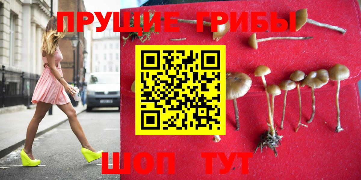 Псилоцибиновые грибы GOLDEN TEACHER  Вход с VPN  Бор 
